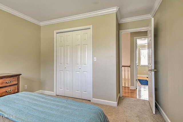 100 Barefoot Landing Dr, Blountville, TN 37617 - photo 51