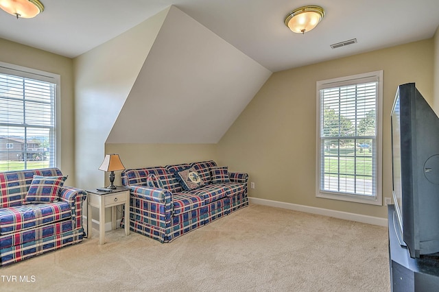 100 Barefoot Landing Dr, Blountville, TN 37617 - photo 52
