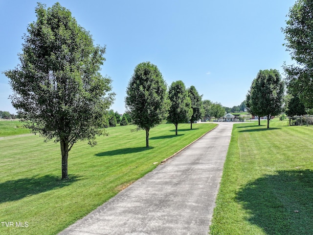 169 Stockton Rd, Chuckey, TN 37641 - photo 83