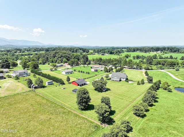 169 Stockton Rd, Chuckey, TN 37641 - photo 70