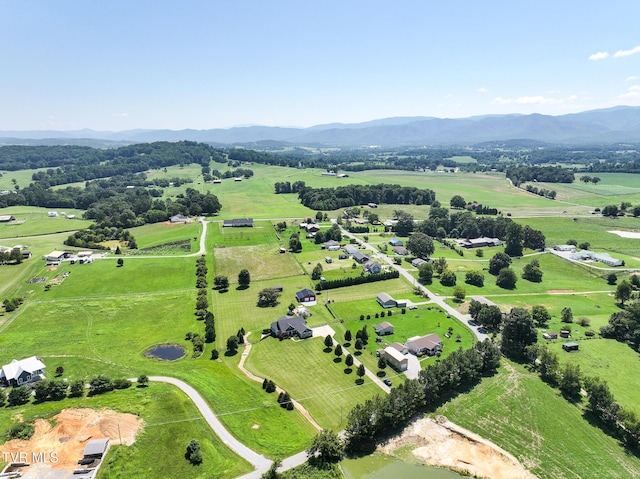 169 Stockton Rd, Chuckey, TN 37641 - photo 74