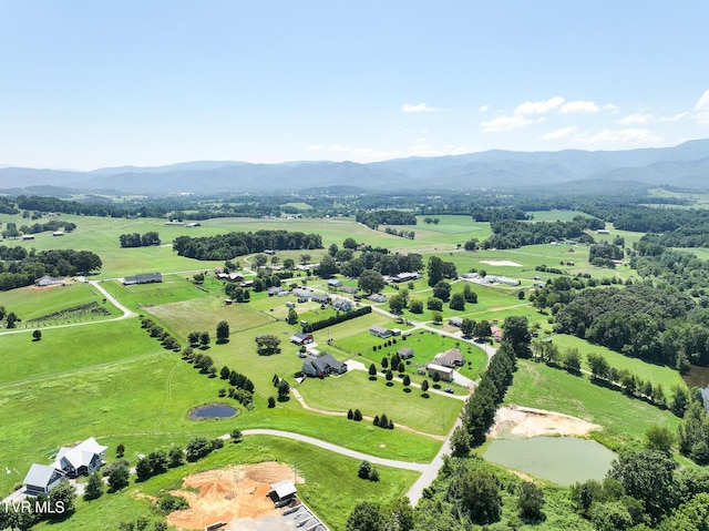 169 Stockton Rd, Chuckey, TN 37641 - photo 13