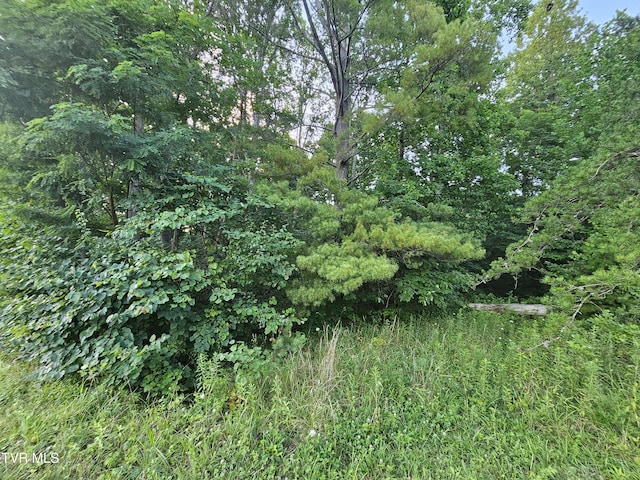 000 Denton Valley Rd, Bristol, TN 37620 - photo 1