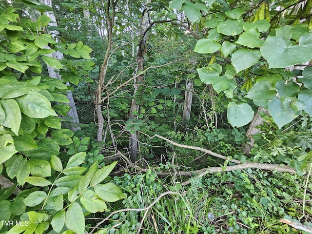 000 Denton Valley Rd, Bristol, TN 37620 - photo 2