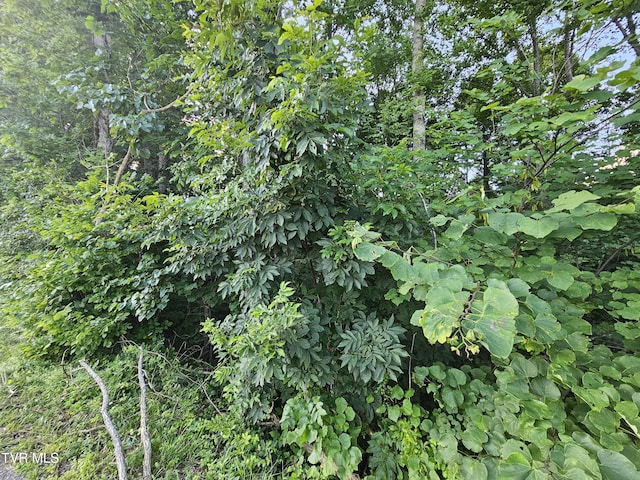 000 Denton Valley Rd, Bristol, TN 37620 - photo 3