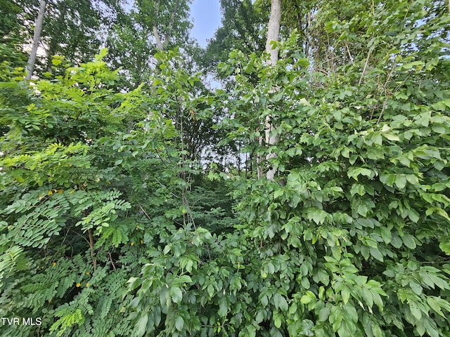 000 Denton Valley Rd, Bristol, TN 37620 - photo 4