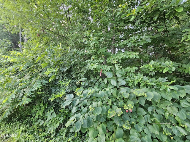 000 Denton Valley Rd, Bristol, TN 37620 - photo 5