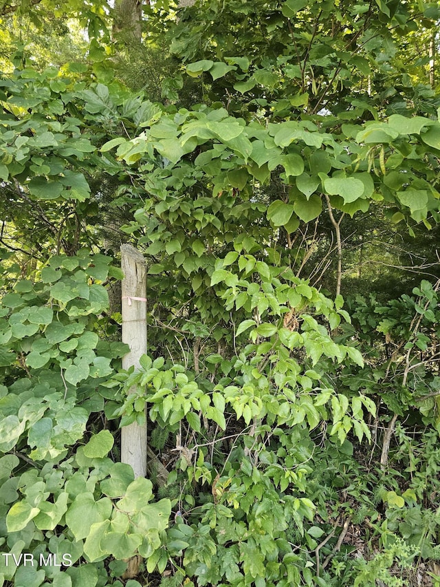 000 Denton Valley Rd, Bristol, TN 37620 - photo 6