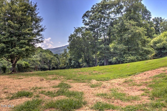 109 Pinnacle Dr, Elizabethton, TN 37643 - photo 19