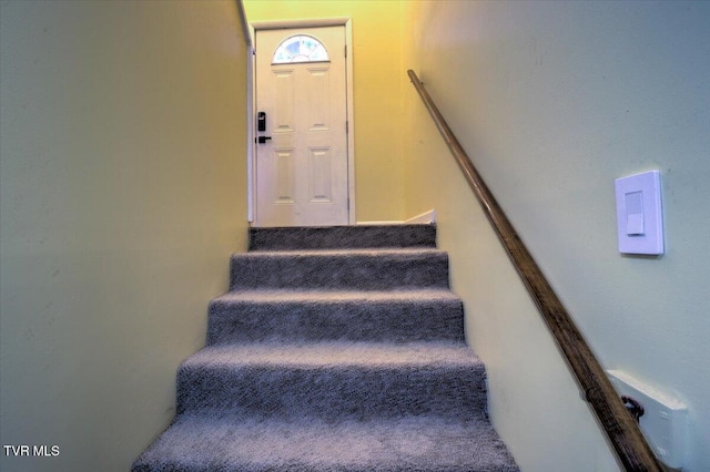 109 Pinnacle Dr, Elizabethton, TN 37643 - photo 48