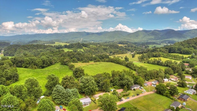 109 Pinnacle Dr, Elizabethton, TN 37643 - photo 75