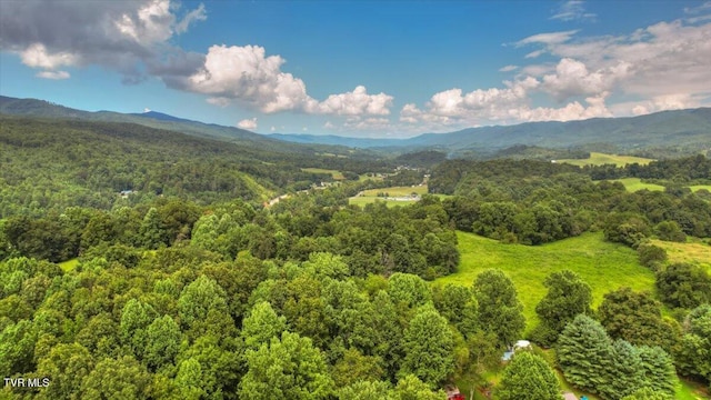 109 Pinnacle Dr, Elizabethton, TN 37643 - photo 77