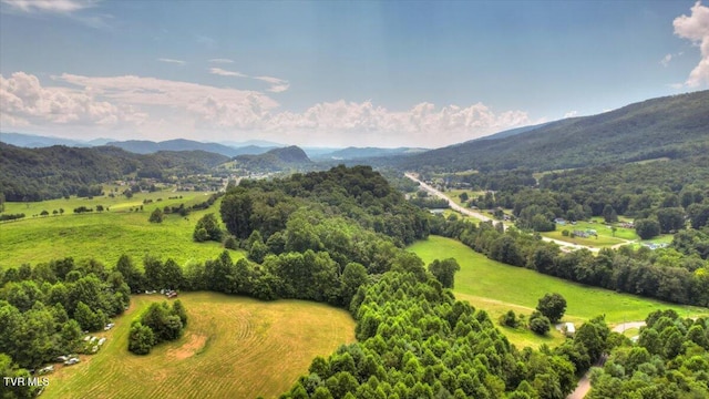 109 Pinnacle Dr, Elizabethton, TN 37643 - photo 80