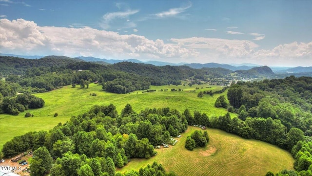 109 Pinnacle Dr, Elizabethton, TN 37643 - photo 81