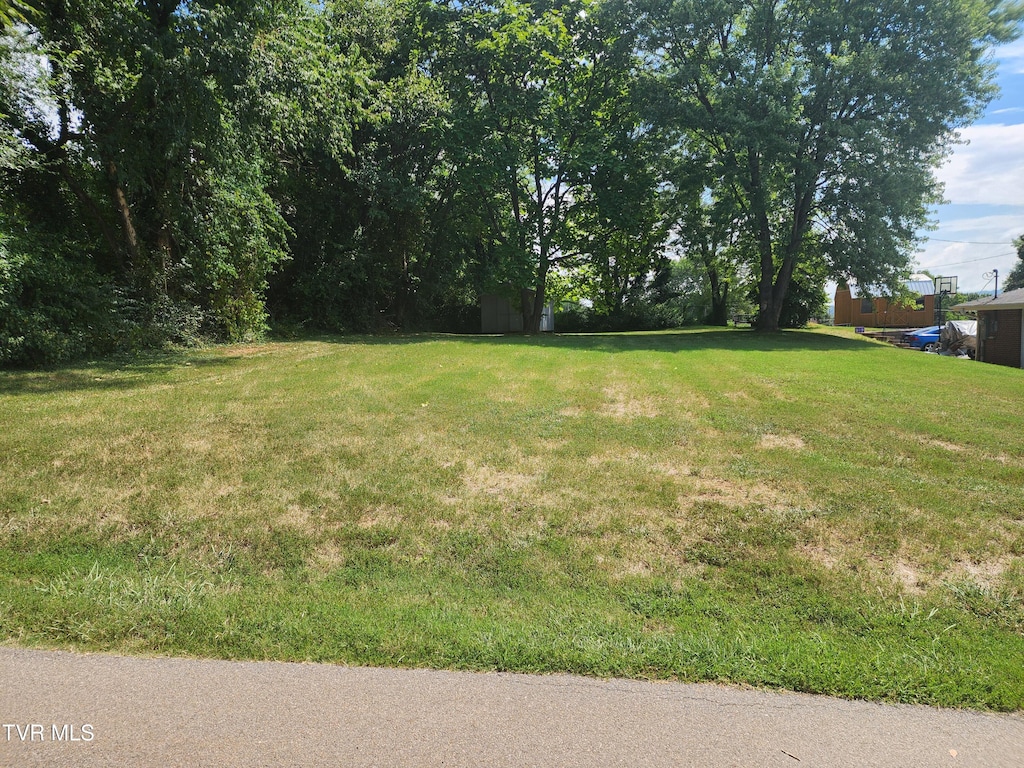 617 Drake Ave, Kingsport, TN 37660 - photo 3
