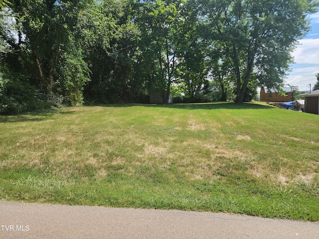 617 Drake Ave, Kingsport, TN 37660 - photo 3