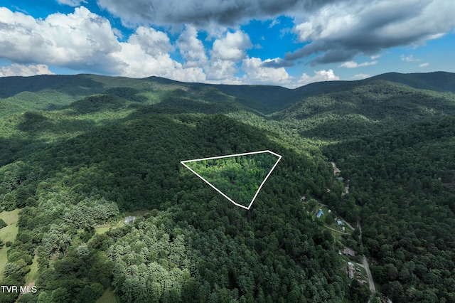 TBD E Of Crackers Neck Rd, Mountain City, TN 37683 - photo 3