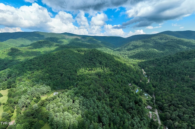 TBD E Of Crackers Neck Rd, Mountain City, TN 37683 - photo 4