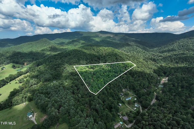 TBD E Of Crackers Neck Rd, Mountain City, TN 37683 - photo 5