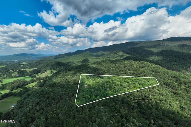 TBD E Of Crackers Neck Rd, Mountain City, TN 37683 - photo 1
