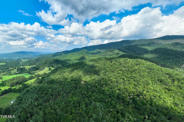 TBD E Of Crackers Neck Rd, Mountain City, TN 37683 - photo 2