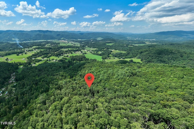TBD E Of Crackers Neck Rd, Mountain City, TN 37683 - photo 13