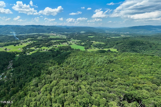 TBD E Of Crackers Neck Rd, Mountain City, TN 37683 - photo 14