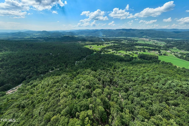 TBD E Of Crackers Neck Rd, Mountain City, TN 37683 - photo 16