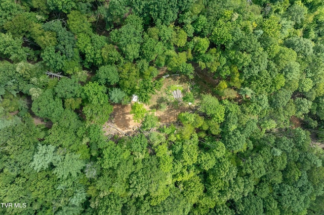 TBD E Of Crackers Neck Rd, Mountain City, TN 37683 - photo 17