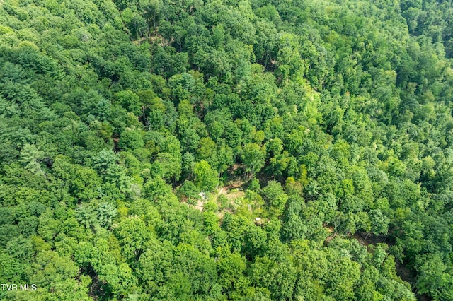 TBD E Of Crackers Neck Rd, Mountain City, TN 37683 - photo 18
