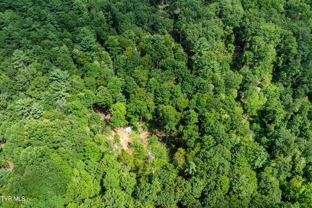 TBD E Of Crackers Neck Rd, Mountain City, TN 37683 - photo 19