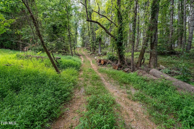 TBD E Of Crackers Neck Rd, Mountain City, TN 37683 - photo 20
