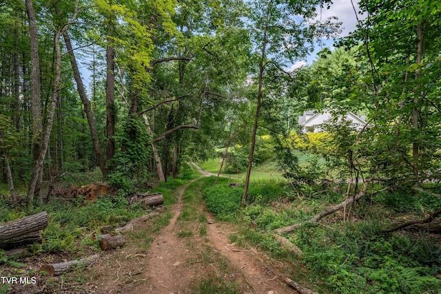 TBD E Of Crackers Neck Rd, Mountain City, TN 37683 - photo 21