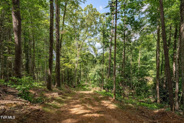 TBD E Of Crackers Neck Rd, Mountain City, TN 37683 - photo 22