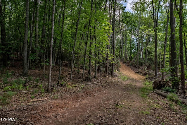 TBD E Of Crackers Neck Rd, Mountain City, TN 37683 - photo 23