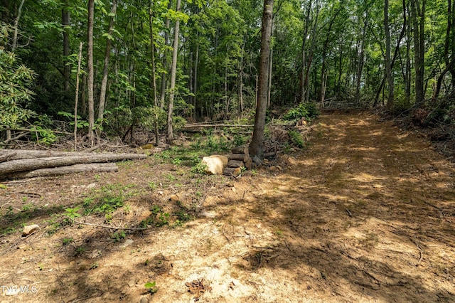 TBD E Of Crackers Neck Rd, Mountain City, TN 37683 - photo 24