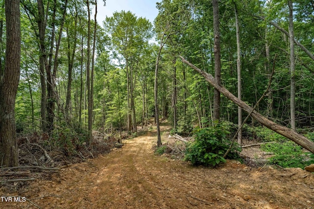 TBD E Of Crackers Neck Rd, Mountain City, TN 37683 - photo 25