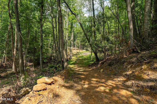 TBD E Of Crackers Neck Rd, Mountain City, TN 37683 - photo 26