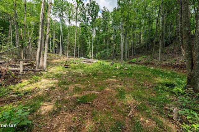 TBD E Of Crackers Neck Rd, Mountain City, TN 37683 - photo 27