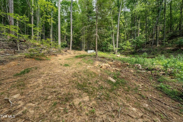 TBD E Of Crackers Neck Rd, Mountain City, TN 37683 - photo 28