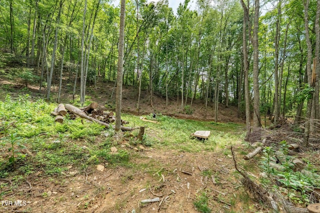 TBD E Of Crackers Neck Rd, Mountain City, TN 37683 - photo 29