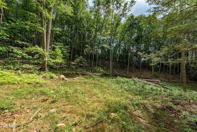 TBD E Of Crackers Neck Rd, Mountain City, TN 37683 - photo 30