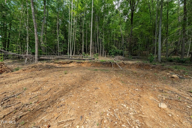 TBD E Of Crackers Neck Rd, Mountain City, TN 37683 - photo 31