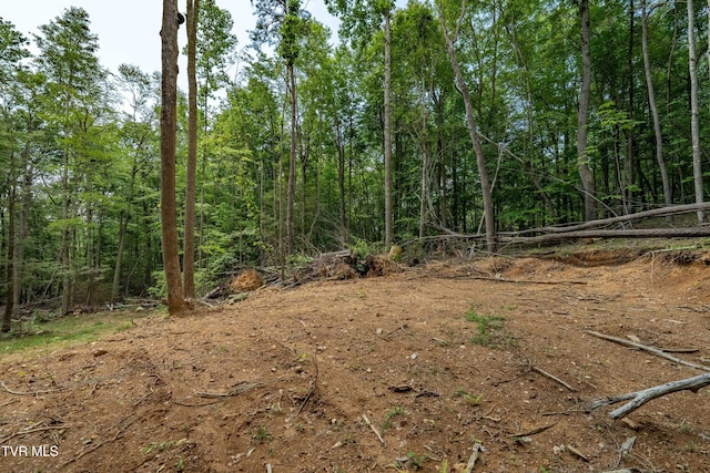 TBD E Of Crackers Neck Rd, Mountain City, TN 37683 - photo 32