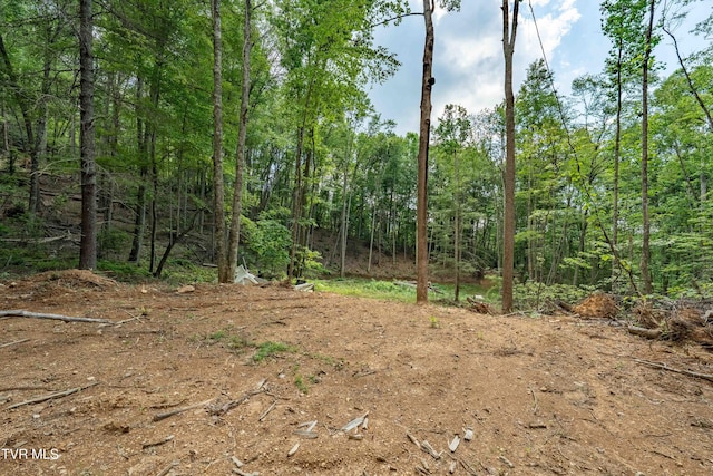 TBD E Of Crackers Neck Rd, Mountain City, TN 37683 - photo 33