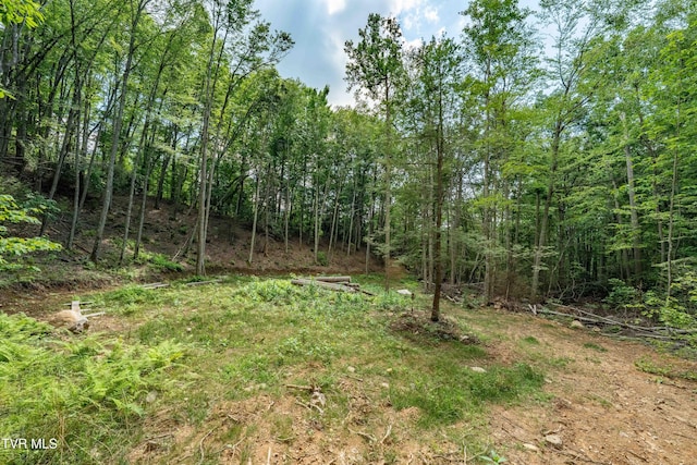 TBD E Of Crackers Neck Rd, Mountain City, TN 37683 - photo 34