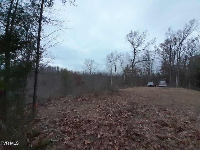 253 Honey Dew Ln, Watauga, TN 37694 - photo 4