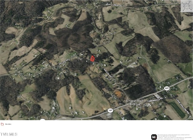 450 Keller Rd, Afton, TN 37616 - photo 4