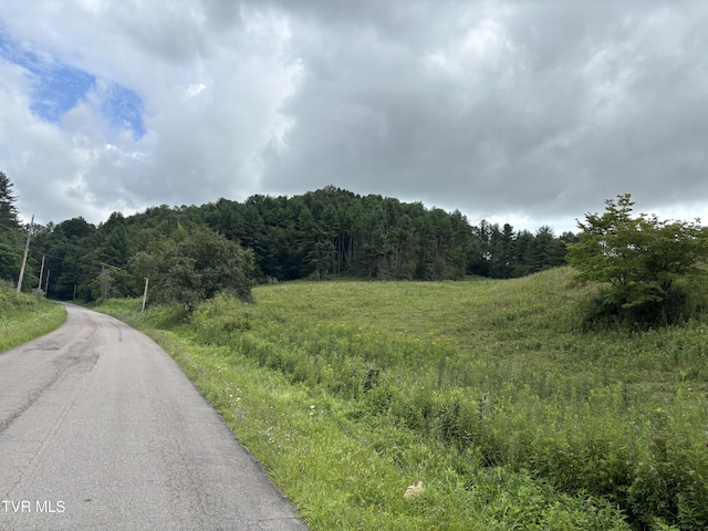 TBD Jenkins Hollow Rd, Mountain City, TN 37683 - photo 1