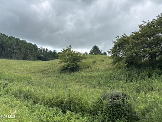 TBD Jenkins Hollow Rd, Mountain City, TN 37683 - photo 2